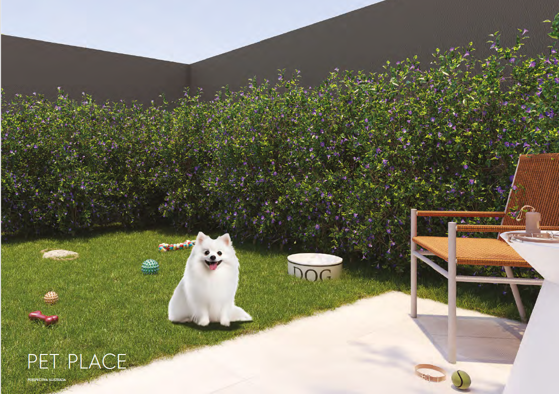 Captura de Tela 2025-06-05 às 12.09.30.png